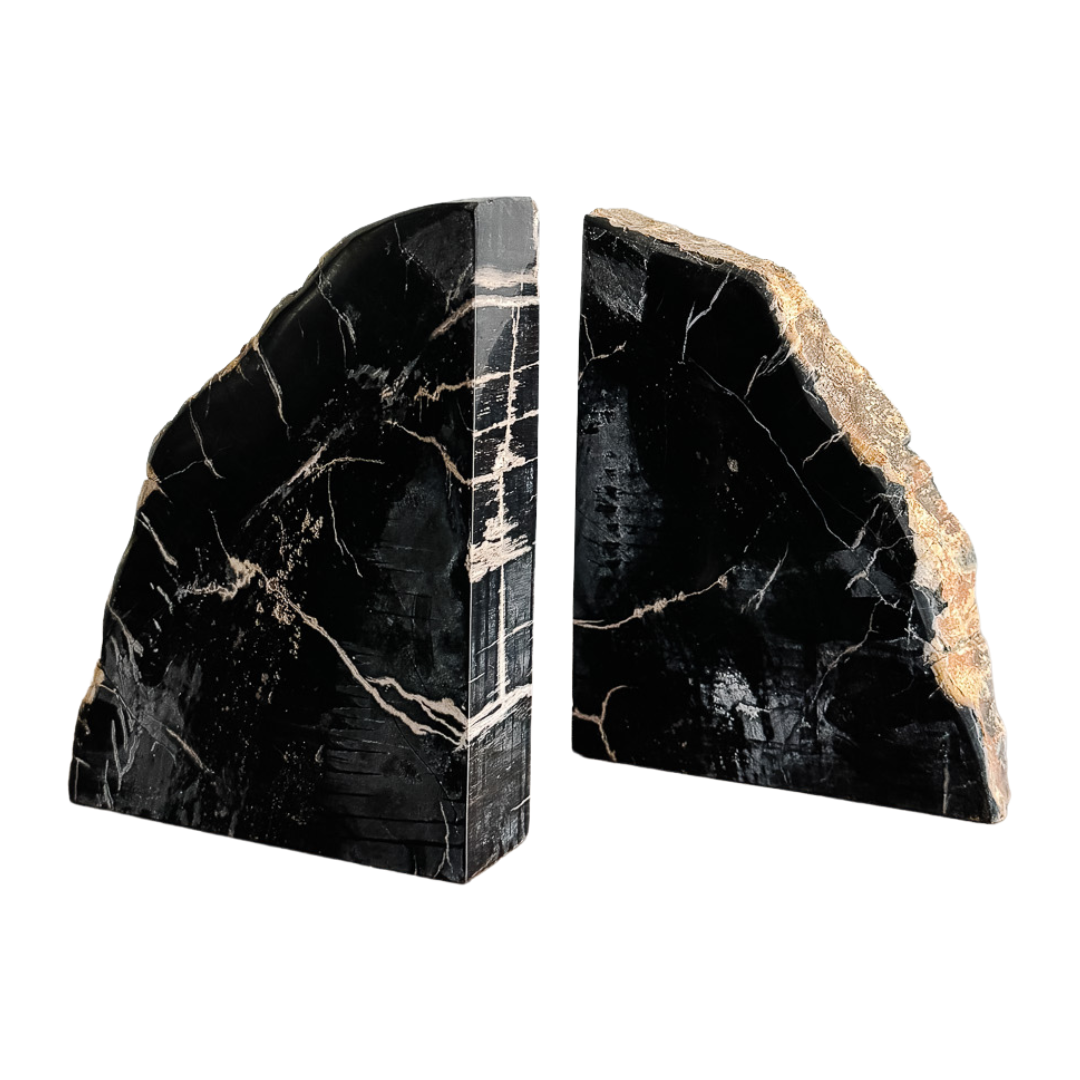 Petrified Wood Bookends