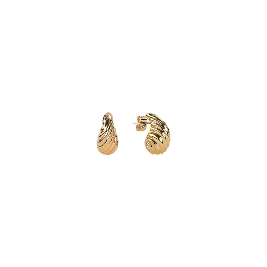 Small Shell Earrings