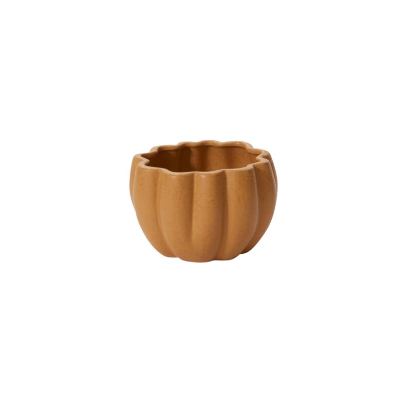 Pumpkin Pot