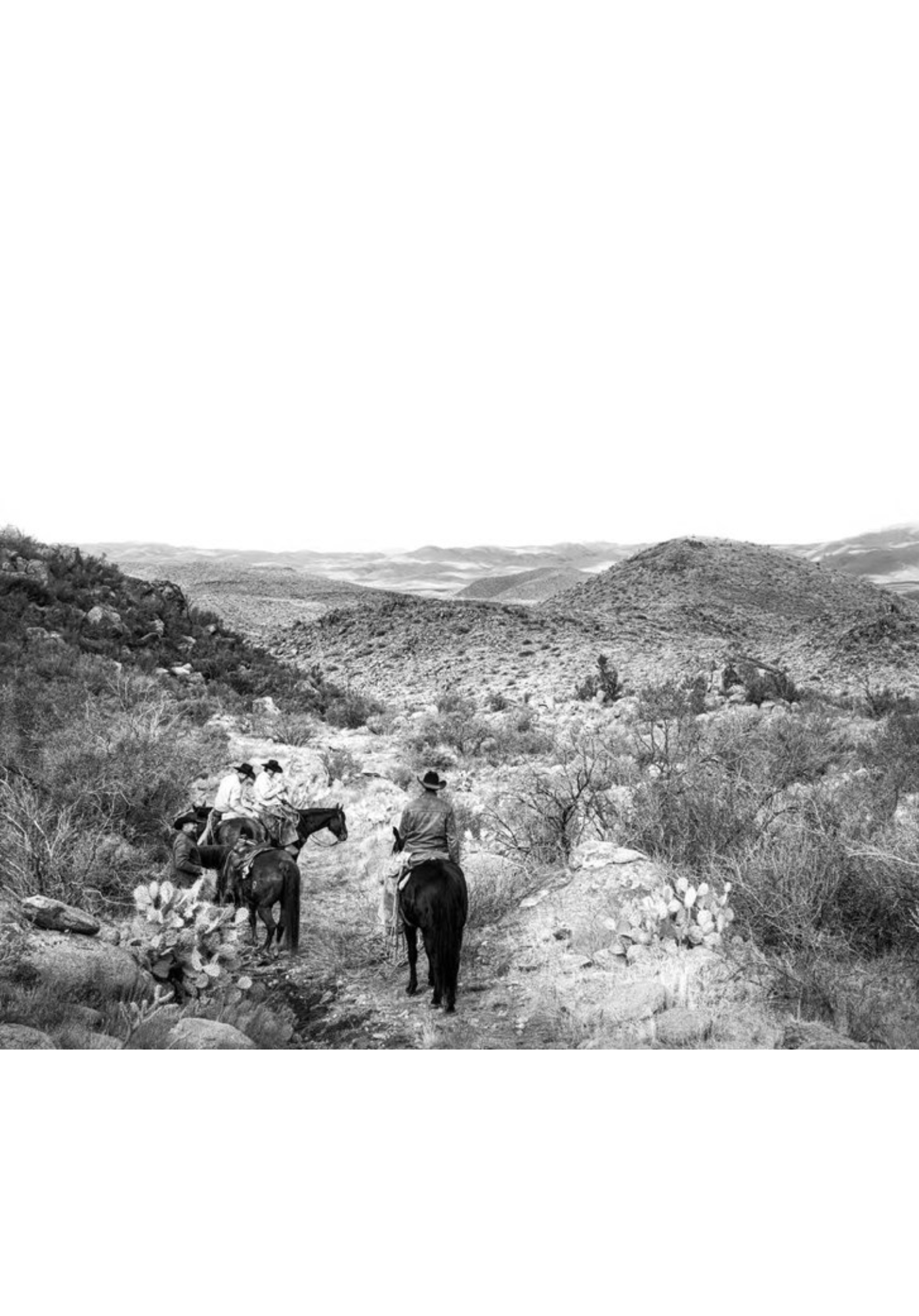 American Cowboys