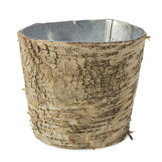 Birch Pot