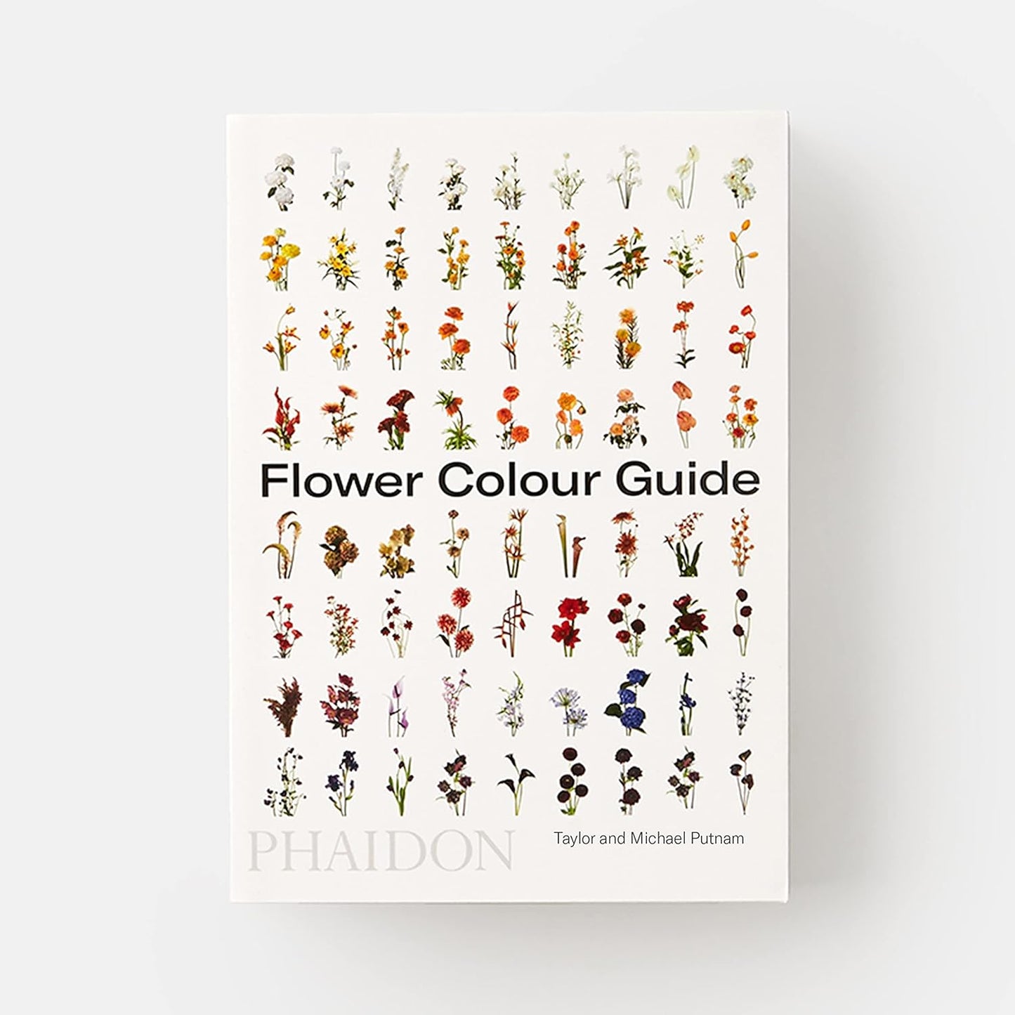 Flower Color Guide