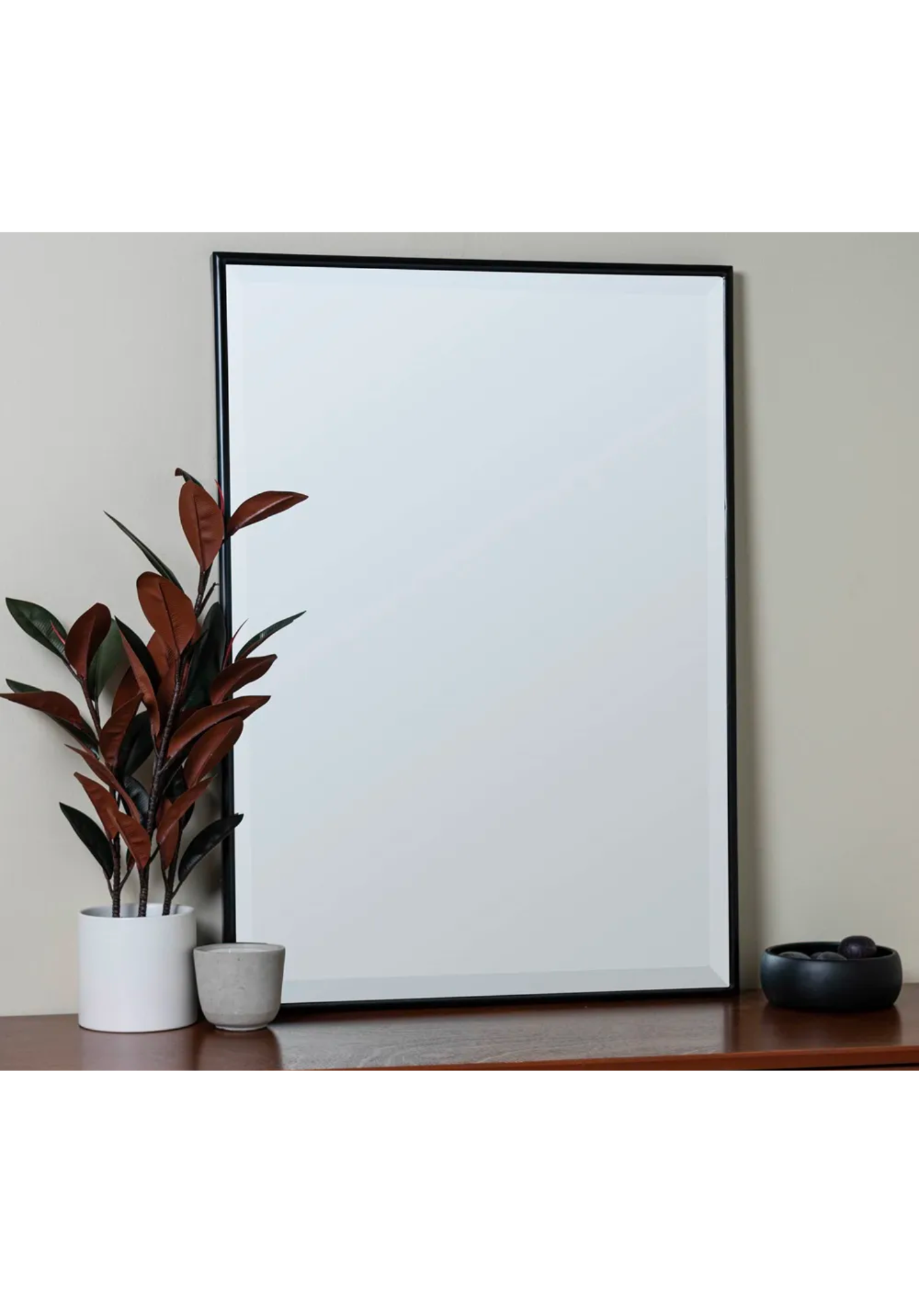 Thin Rectangle Wall Mirror