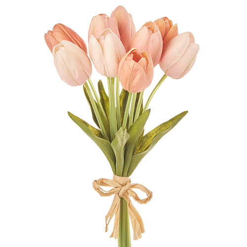 Pink Tulip Bundle