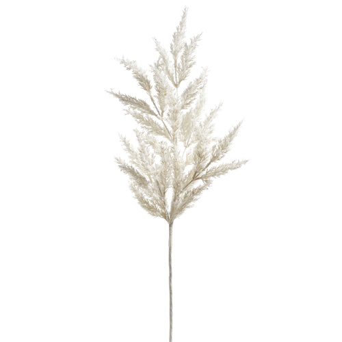 White Pampas Spray