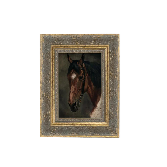 Horse Portrait