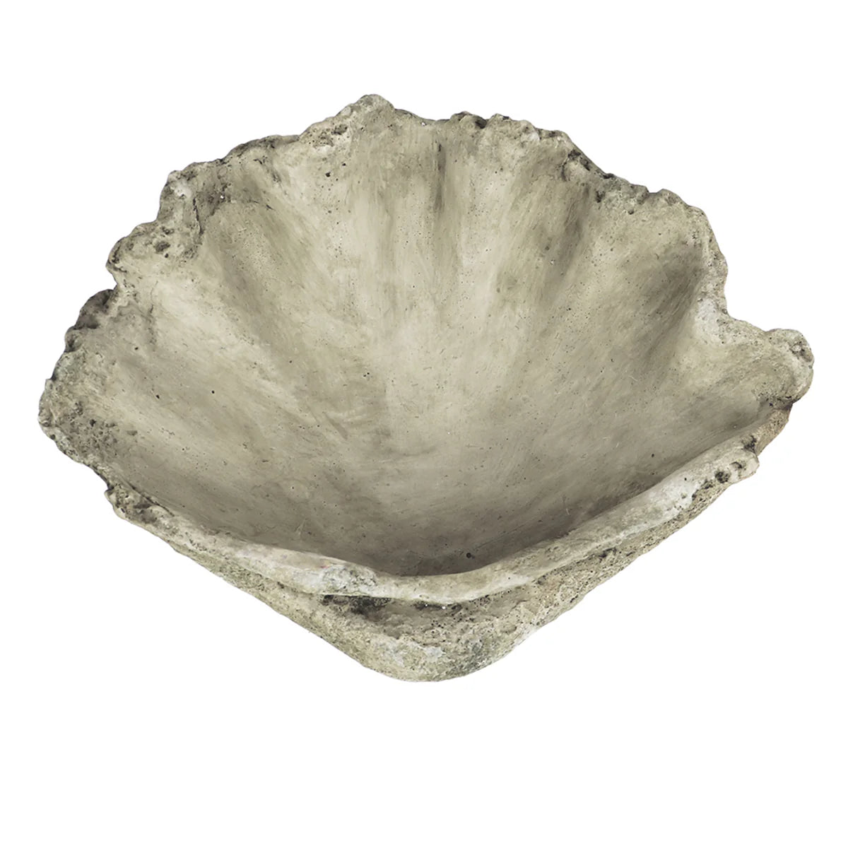 Concrete Clam Shell