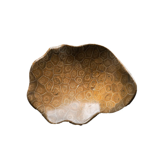 Coral Fossil Bowl