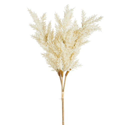 Pampas Grass Bundle