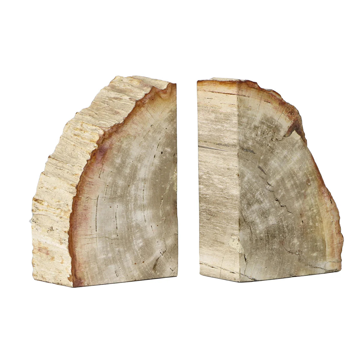 Petrified Wood Bookends