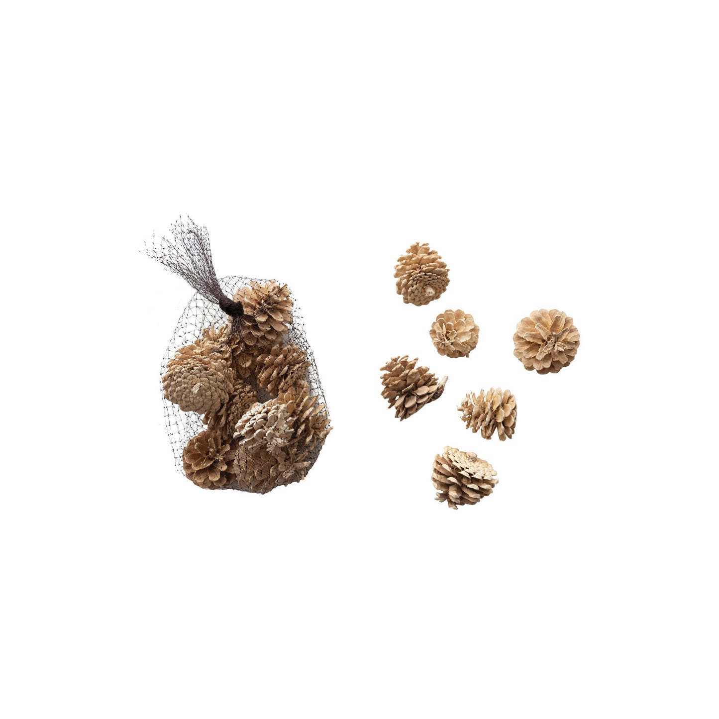 Dried Natural Pinecones